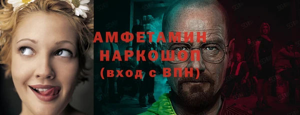 ECSTASY Белокуриха