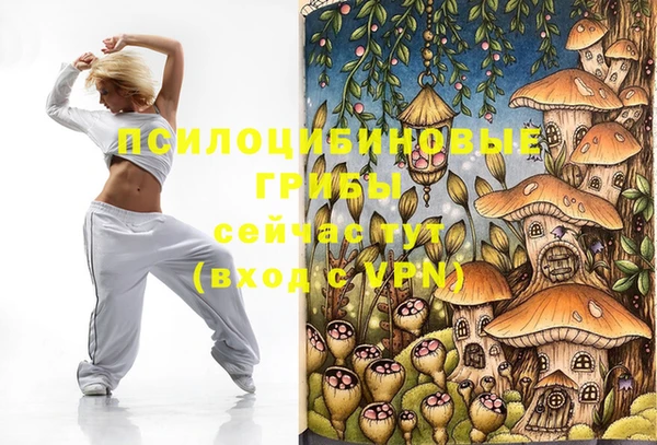 ECSTASY Белокуриха