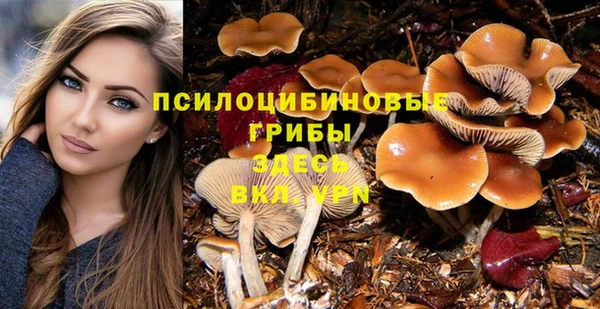 ECSTASY Белокуриха