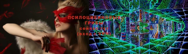 ECSTASY Белокуриха
