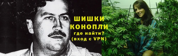 ECSTASY Белокуриха